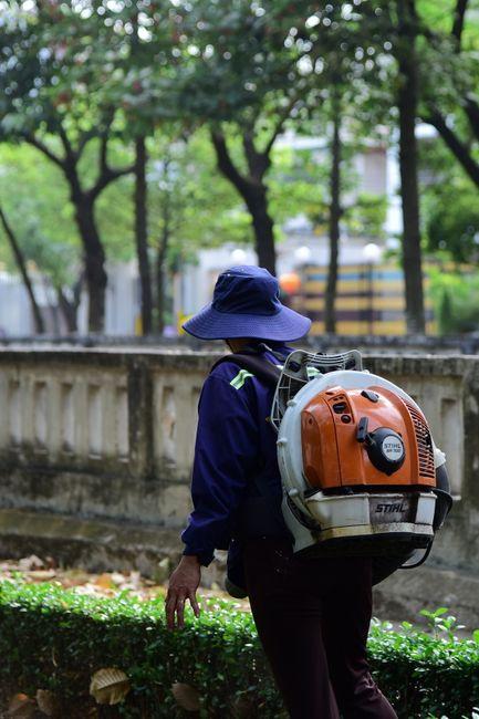 Best Backpack Blower for Home Use: Easy, Powerful Clearing Made Simple